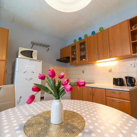 Apartamento Central Apartment Dolny Kubin