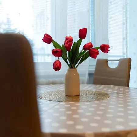 Central Apartment Appartement