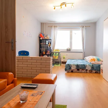 Apartman Central Apartment *