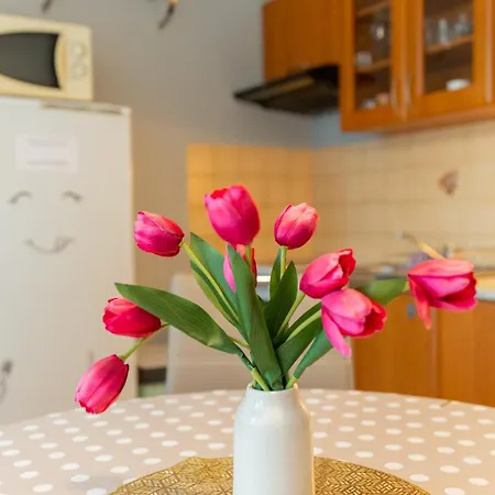 Central Apartment Apartamento Dolny Kubin