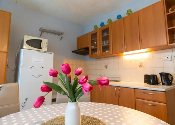 Lejlighed Central Apartment Dolny Kubin