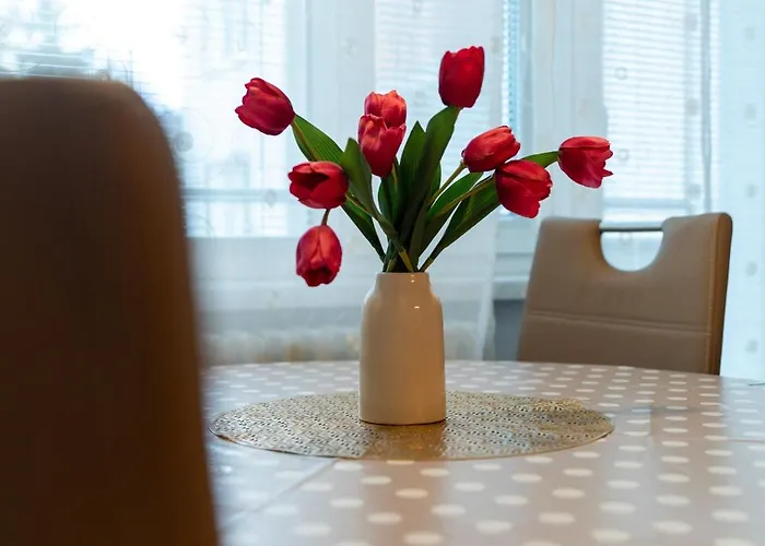 Central Apartment Lejlighed