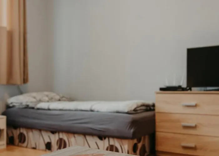 Central Apartment Lejlighed