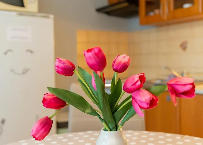 Central Apartment Lejlighed Dolny Kubin